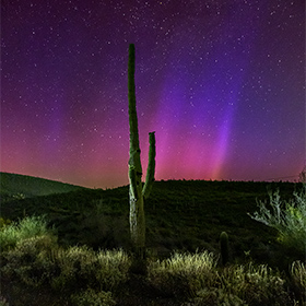 The Aurora Borealis dipped into Arizona to be photographed with a Saguaro Cactus at Lake Pleasant near Phoenix.